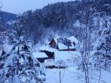 Дом в Сосновом переулке, гостевой дом